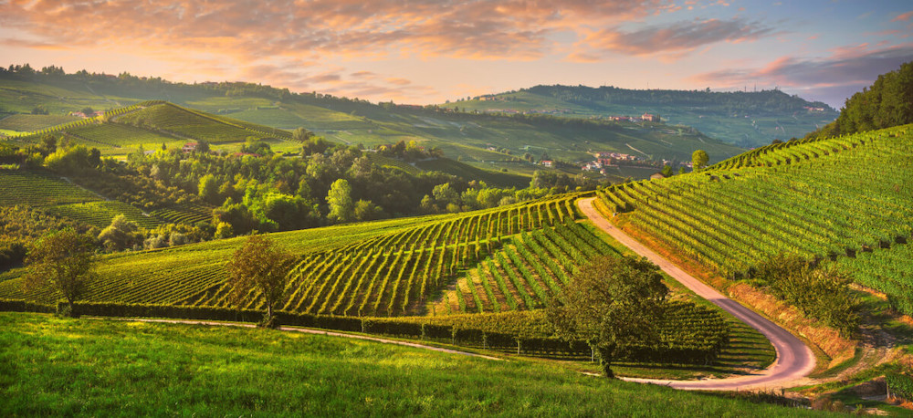 langhe-italy-vineyards-sunset-panorama