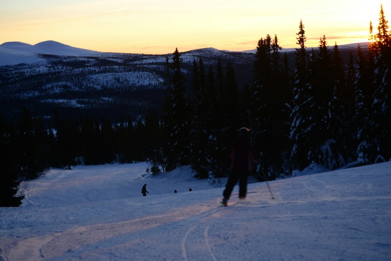 Skiers in Lofsdalen