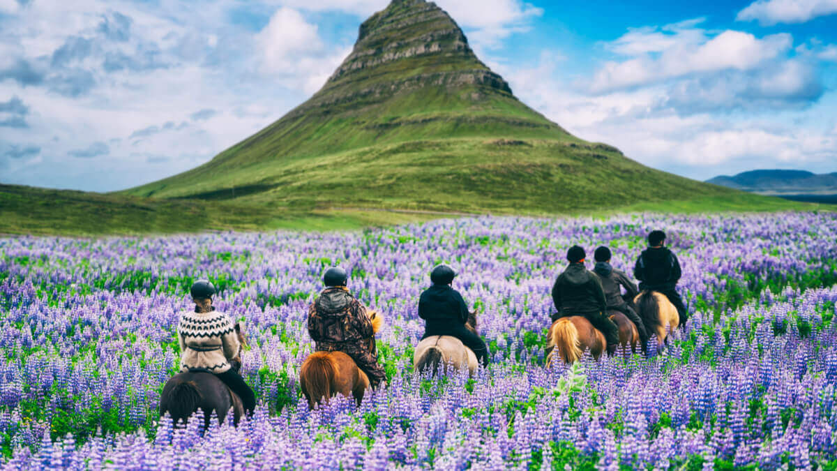 A Complete Guide to Living in Iceland as an American