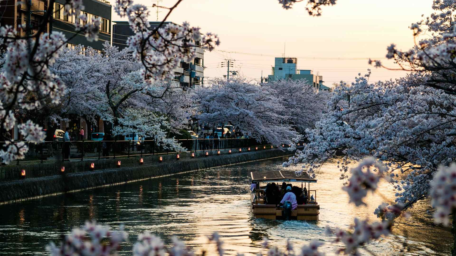 kyoto