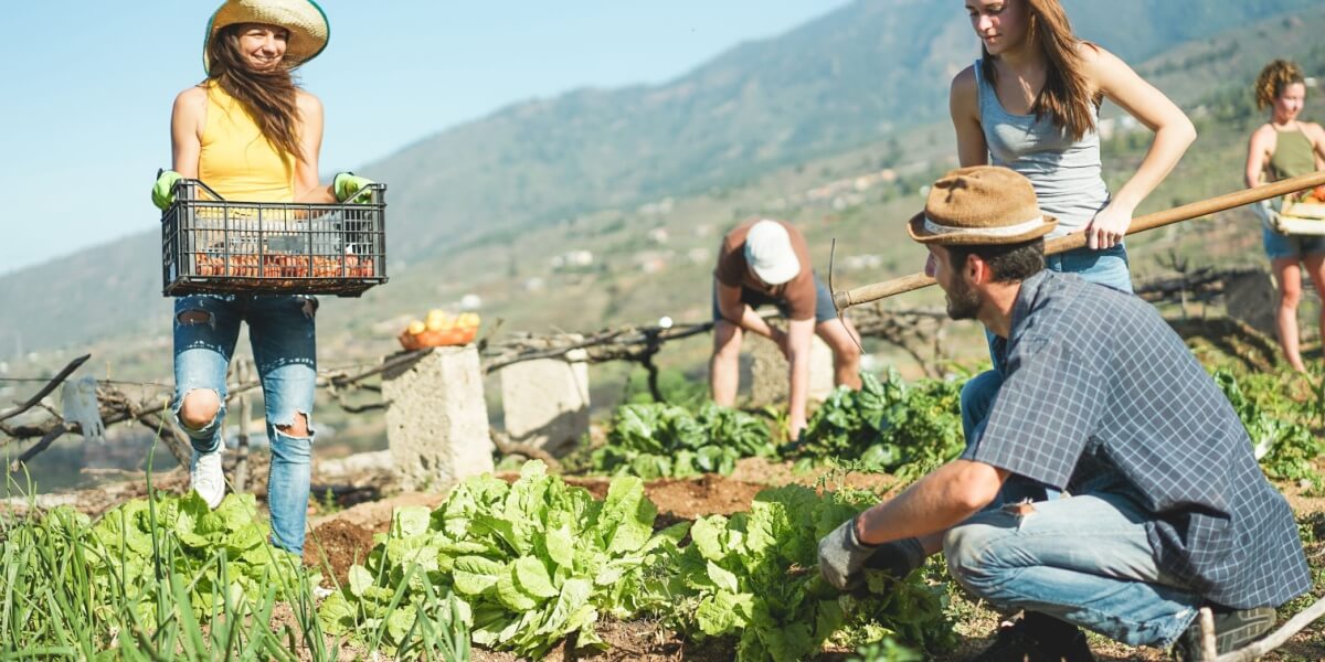 Work and Travel Arbeiter auf einer Farm