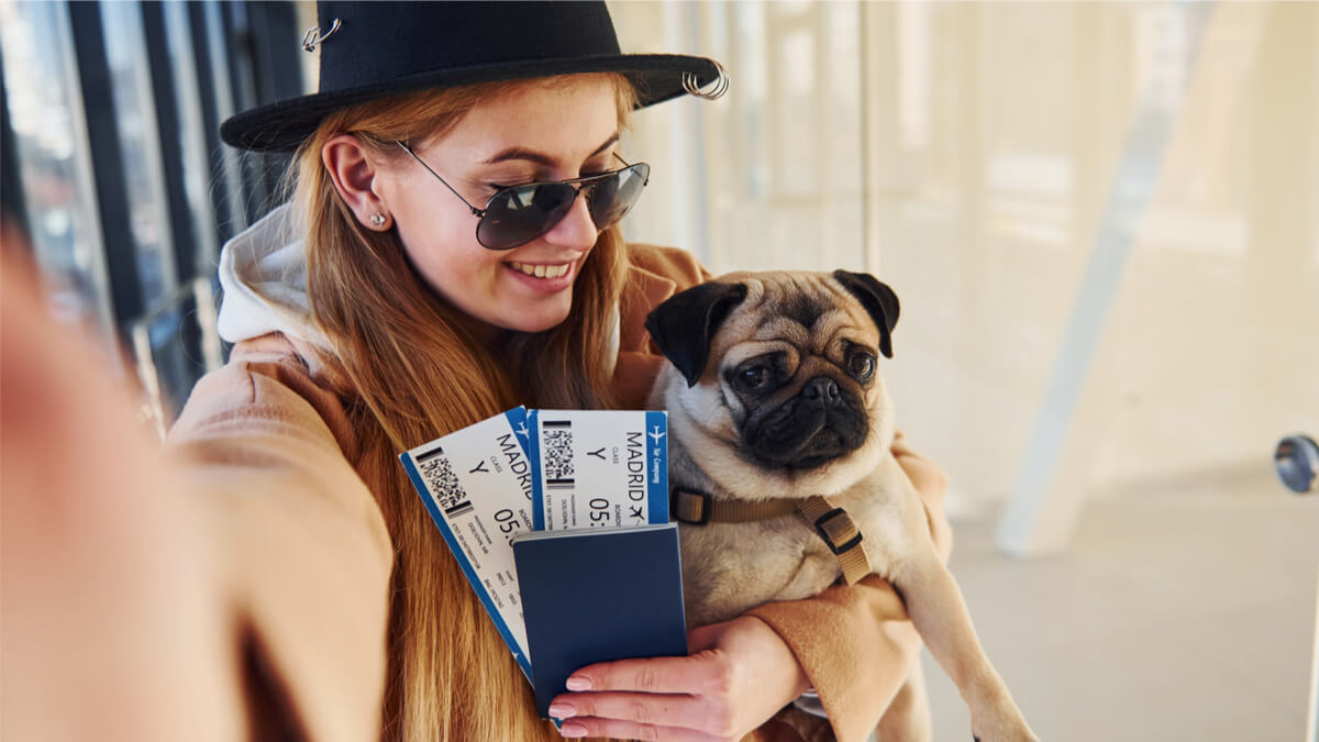 Jetstar hot sale pet transport