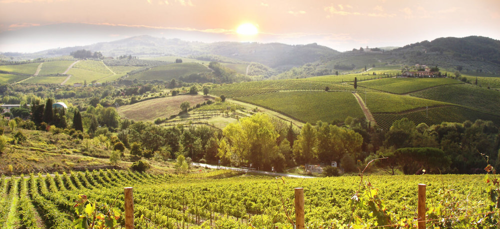 chianti-vineyard-landscape-tuscany-italy