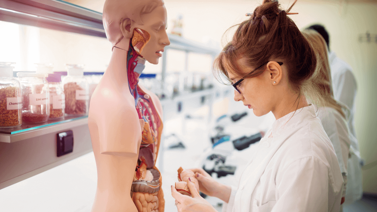 Quanto custa uma faculdade de Medicina e como pagar?