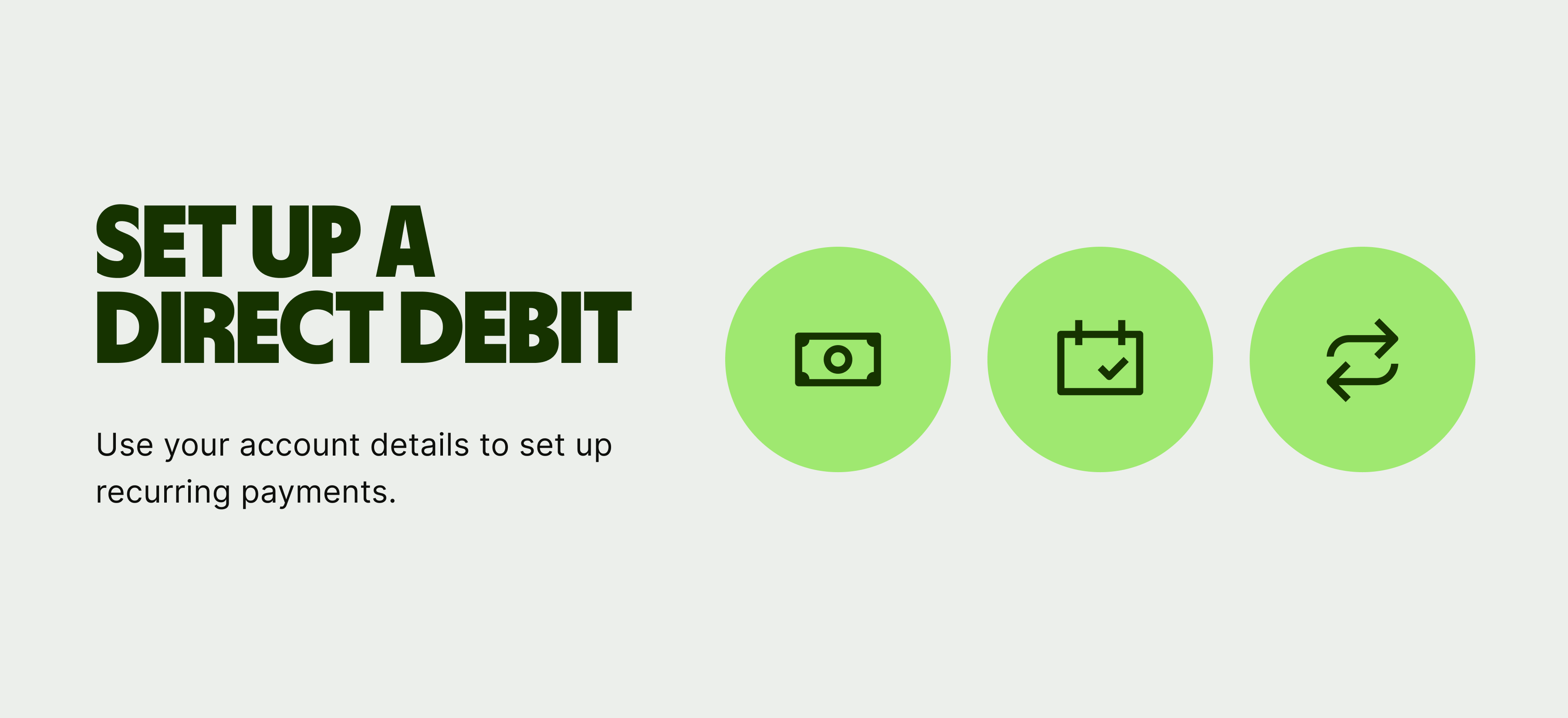 wise-business-direct-debit