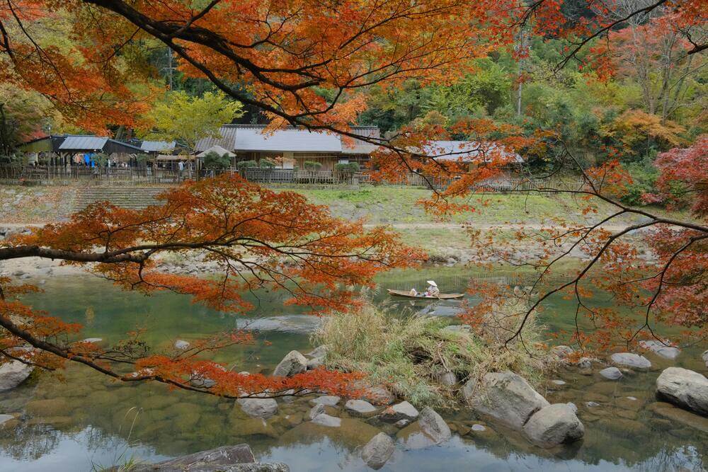 japan autumn