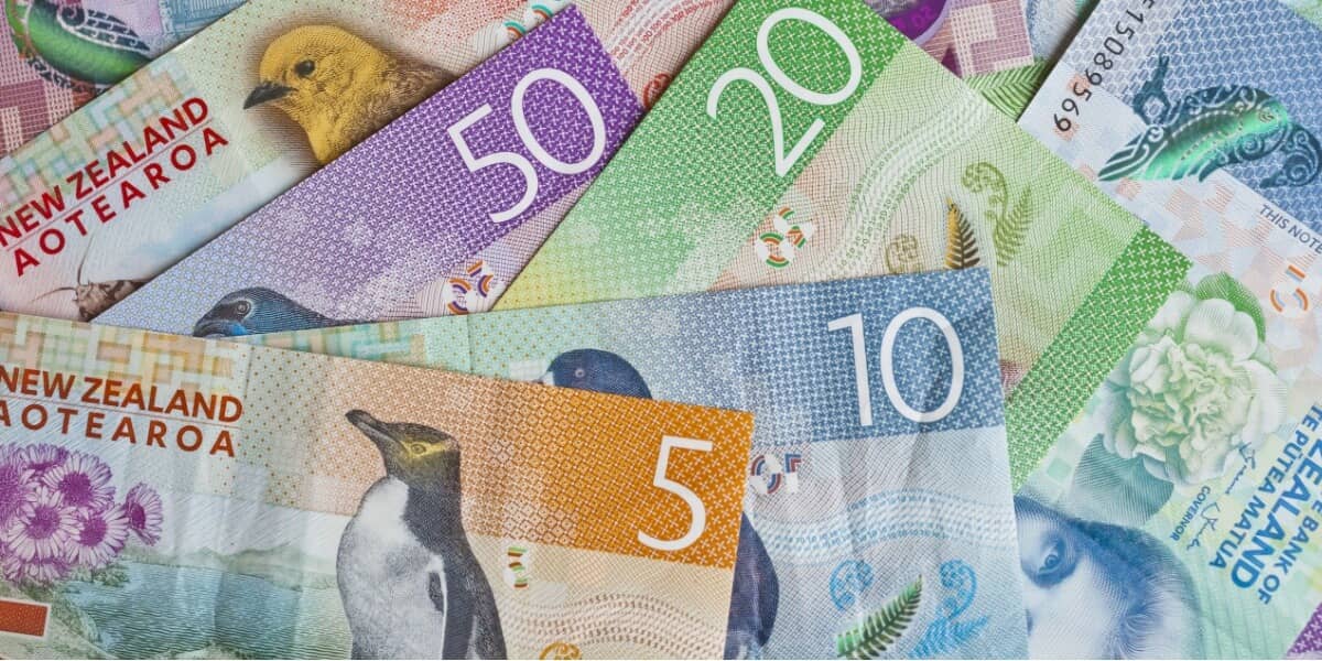 Unterschiedliche neuseeländische Geldscheine
