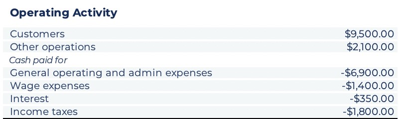 operating-activity-cash-flow-statement-wise