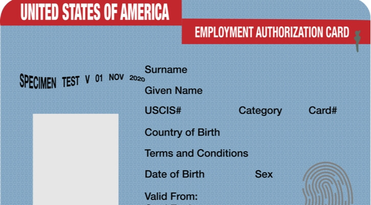 employment-authorization-card-illustration